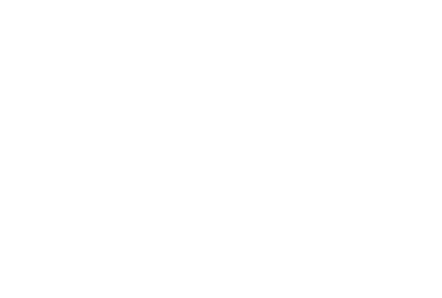 exNetwork Capital